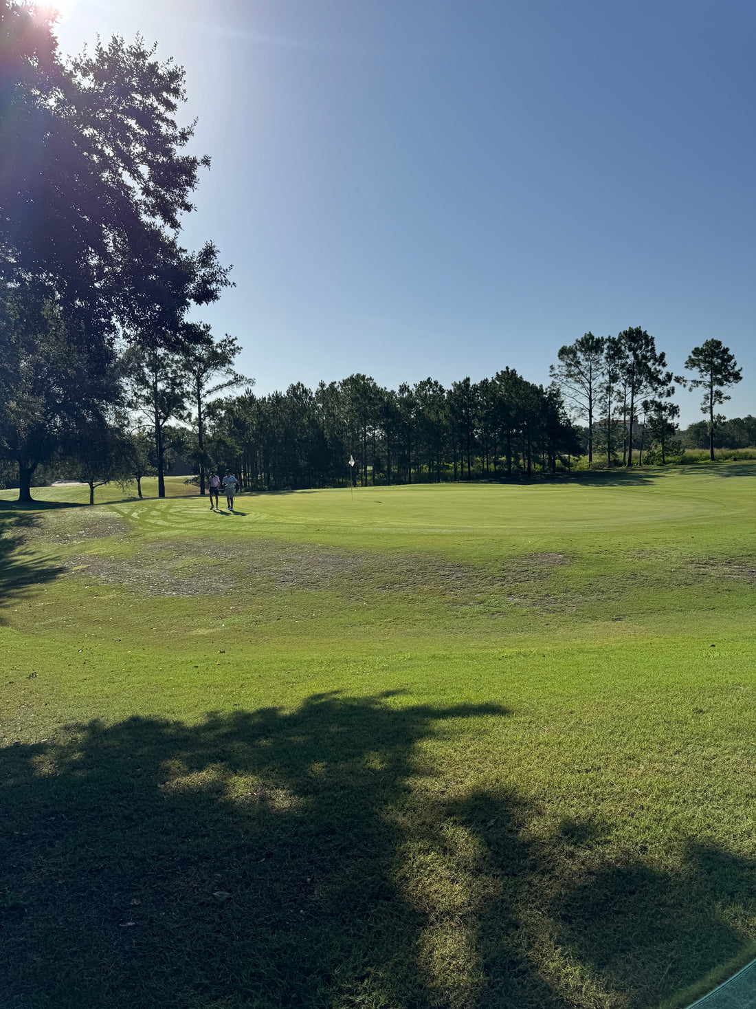 Bright Days, Dark Nights – A Simple Sleep Reset