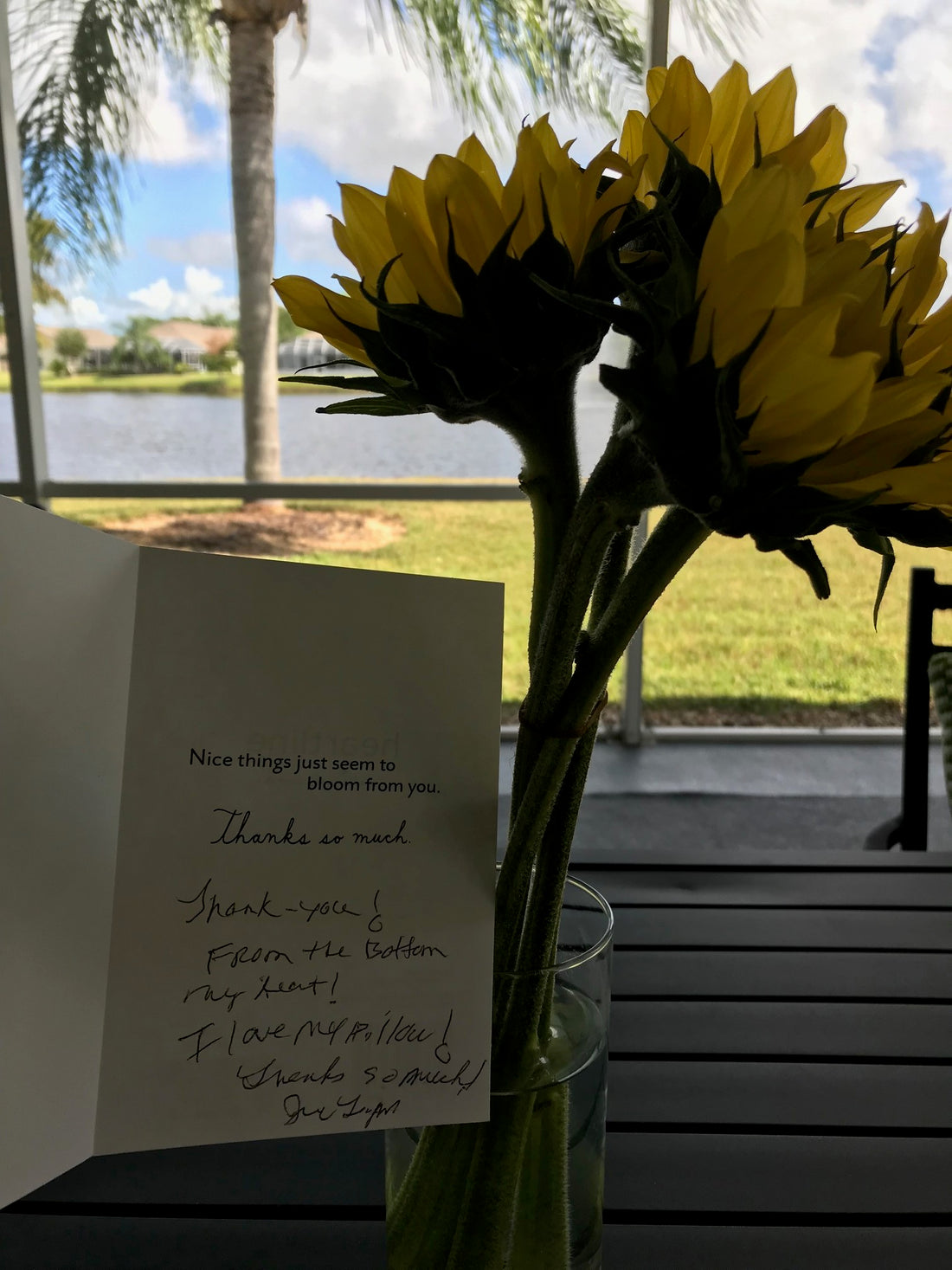 I love my arc4life pillow