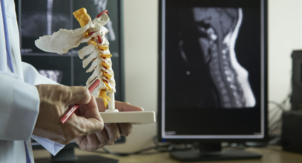 Chiropractic Pillow: The Key to Better Neck Alignment and Pain-Free Sleep