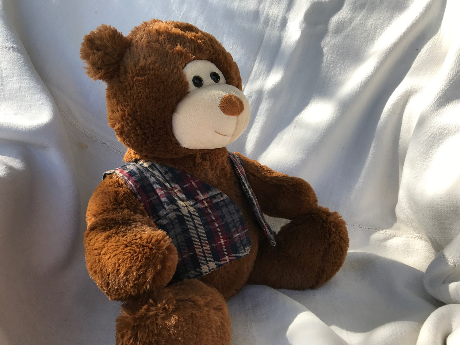 ChiroBear Chiropractic Teddy Bears