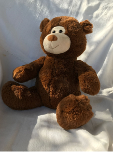 Arc4life Chiropractic  Teddy Bear With a Spine with a VEST - Chirobear
