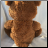 Arc4life Chiropractic  Teddy Bear With a Spine with a VEST - Chirobear