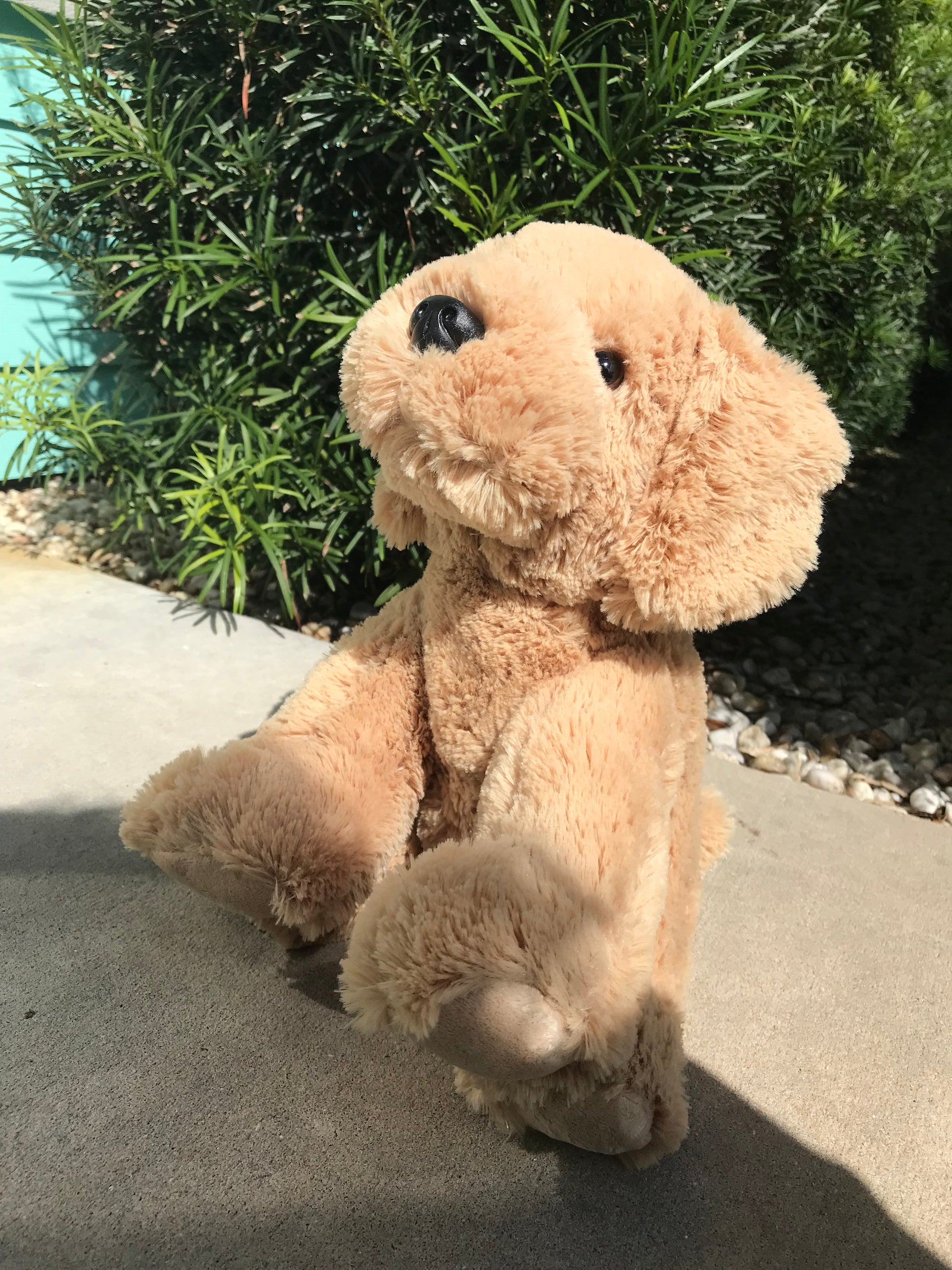 arc4life chiropractic teddy bear