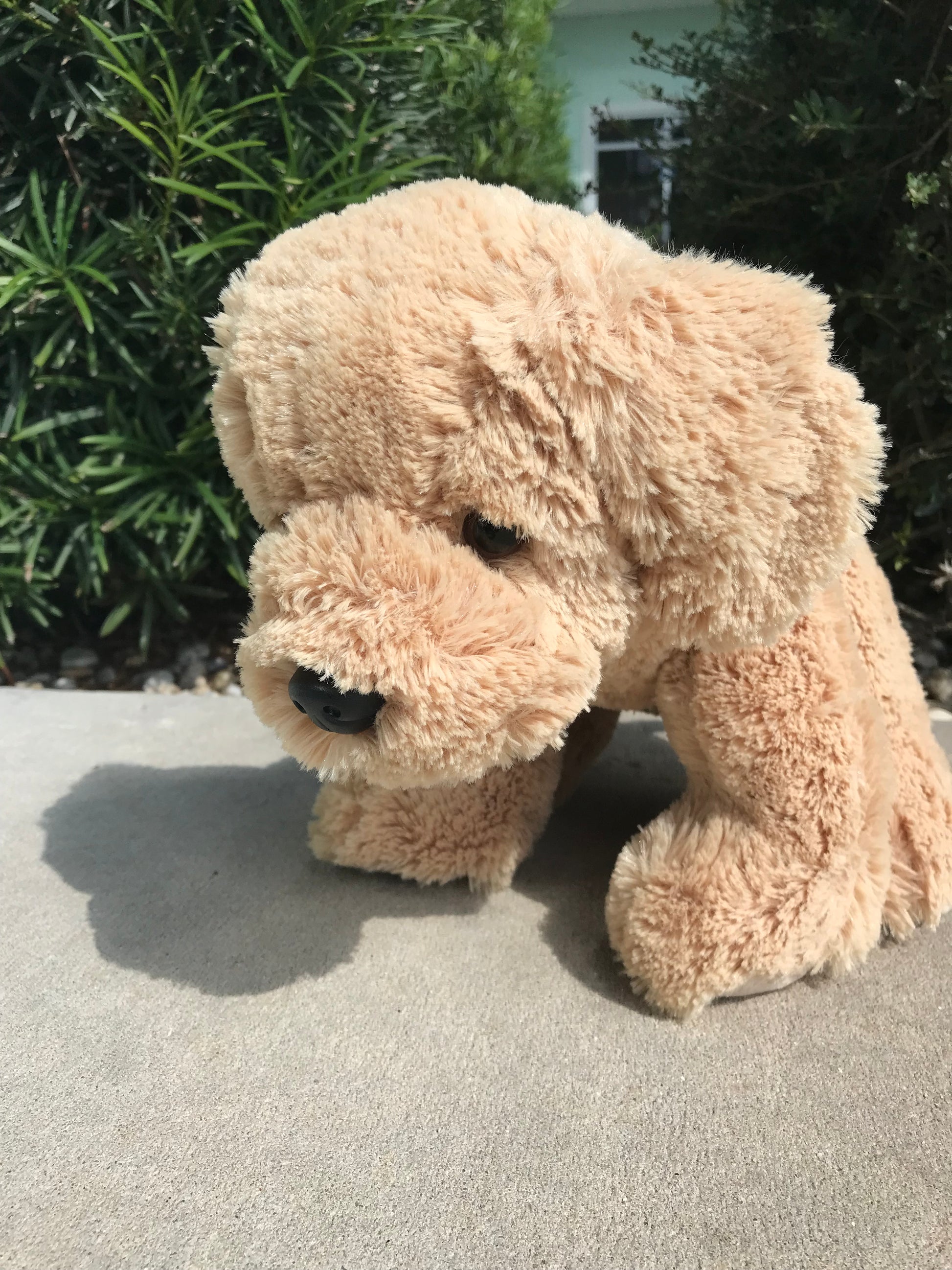 teddy bear with a spine