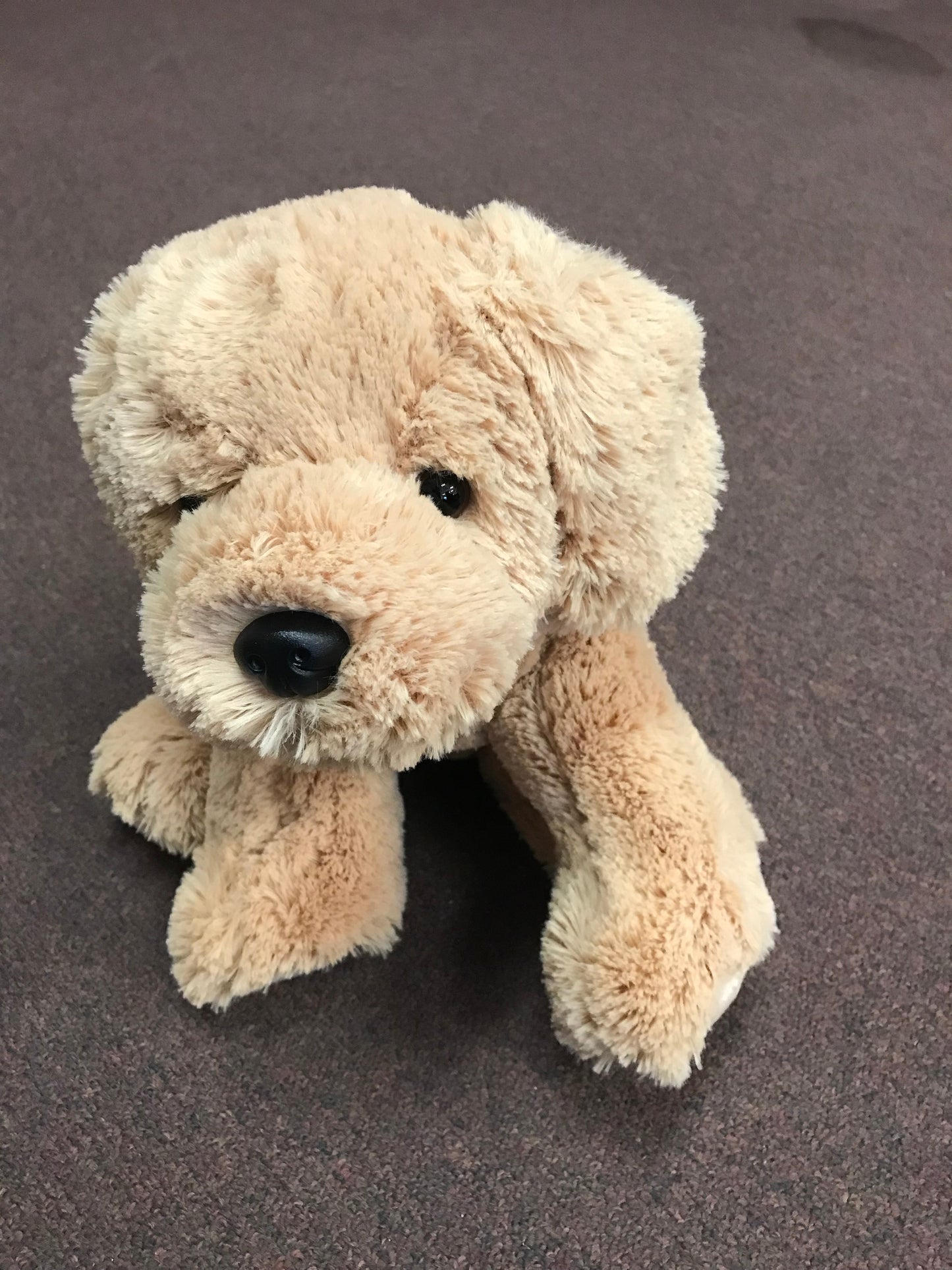 chiropractic dog with a spine