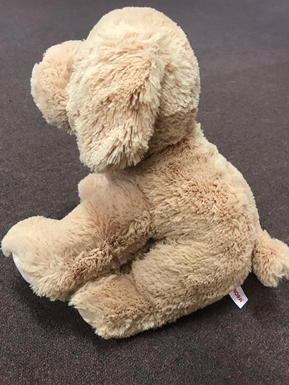 adjustable dog with a spine teddy bear