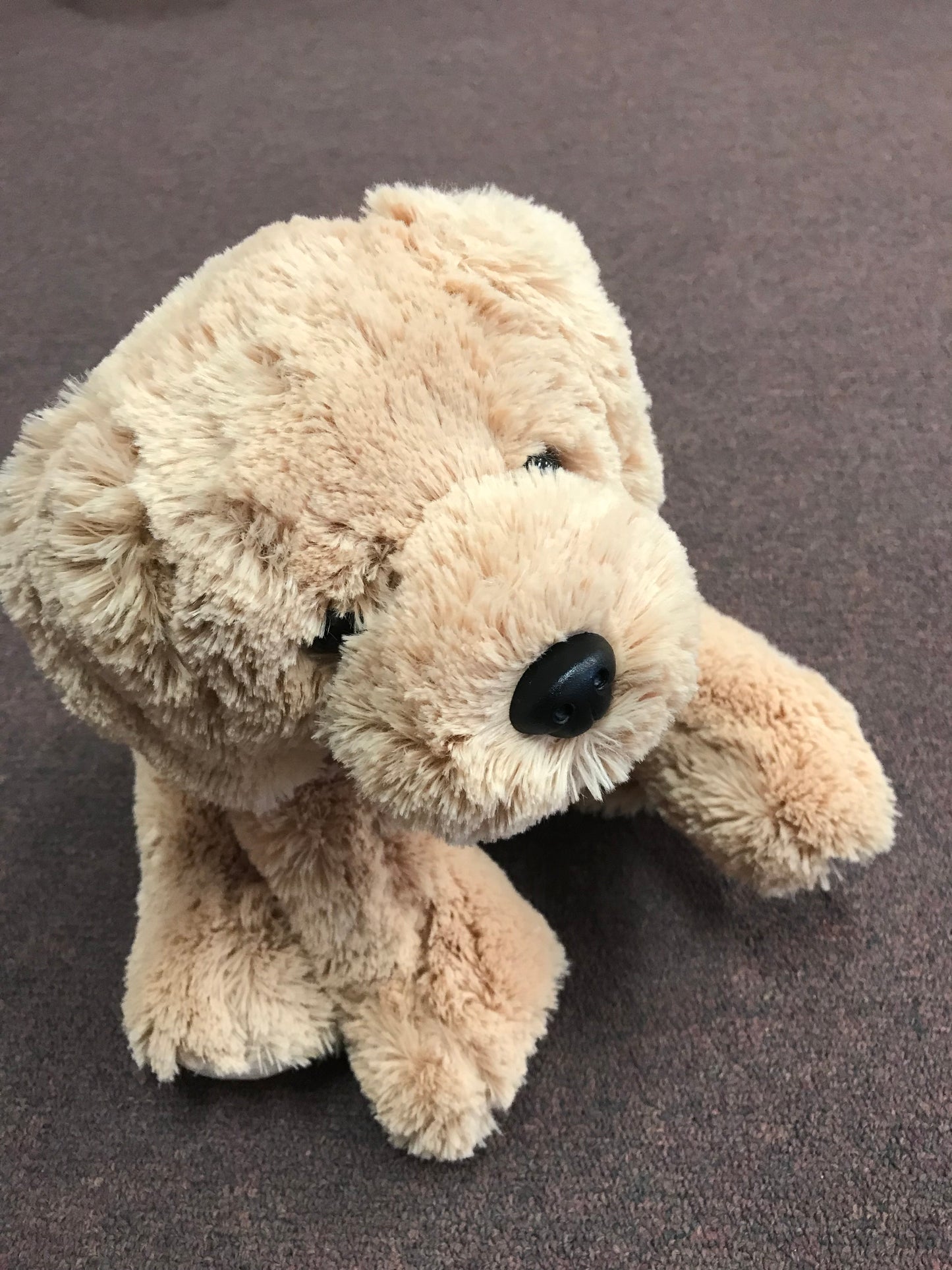 arc4life chiro teddy bear with a spine