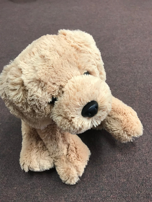 arc4life chiro teddy bear with a spine
